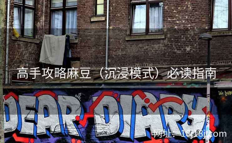 高手攻略麻豆（沉浸模式）必读指南