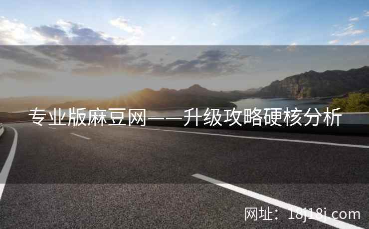 专业版麻豆网——升级攻略硬核分析