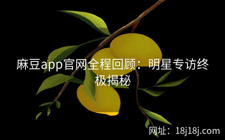 麻豆app官网全程回顾：明星专访终极揭秘