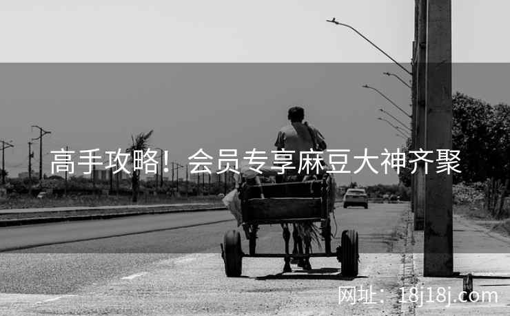 高手攻略！会员专享麻豆大神齐聚