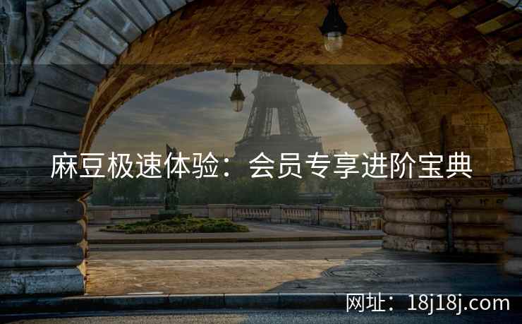 麻豆极速体验：会员专享进阶宝典