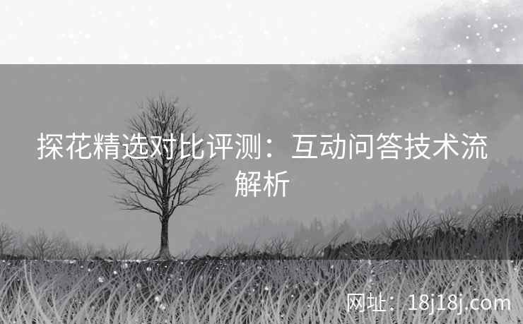 探花精选对比评测：互动问答技术流解析