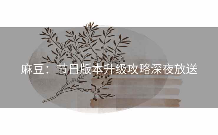 麻豆：节日版本升级攻略深夜放送
