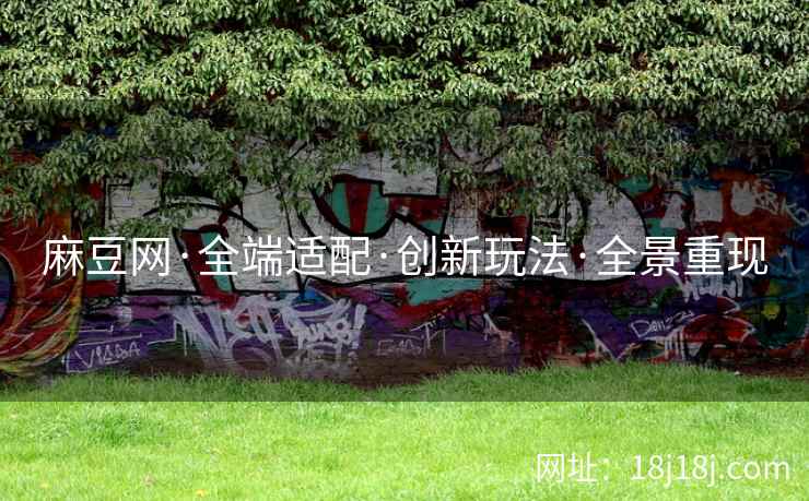 麻豆网·全端适配·创新玩法·全景重现