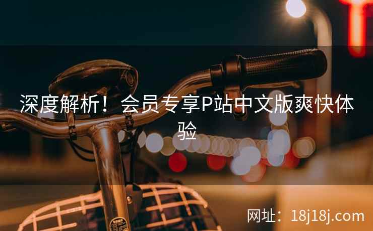 深度解析！会员专享P站中文版爽快体验