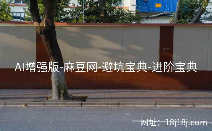 AI增强版-麻豆网-避坑宝典-进阶宝典