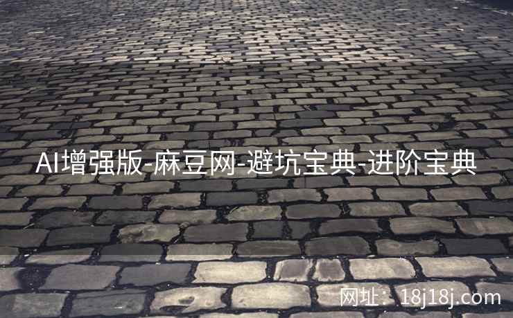 AI增强版-麻豆网-避坑宝典-进阶宝典