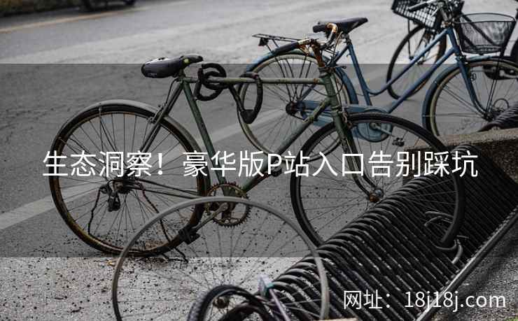 生态洞察！豪华版P站入口告别踩坑