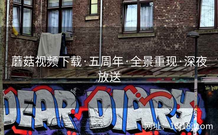 蘑菇视频下载·五周年·全景重现·深夜放送