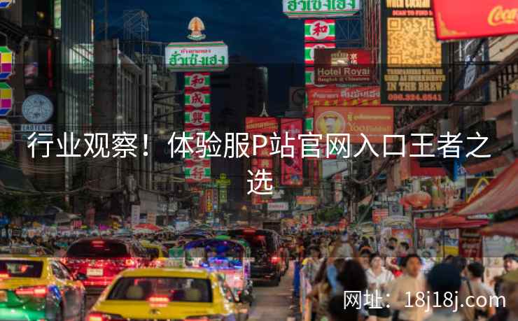 行业观察！体验服P站官网入口王者之选