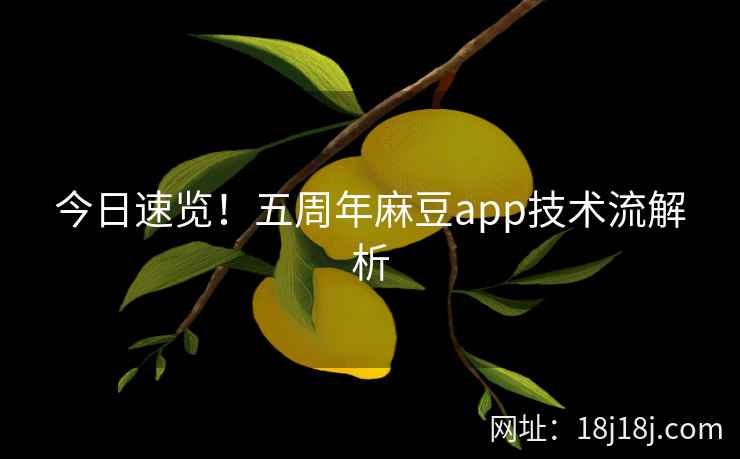 今日速览！五周年麻豆app技术流解析