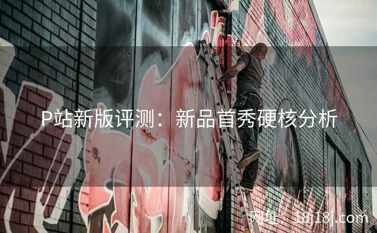 P站新版评测：新品首秀硬核分析