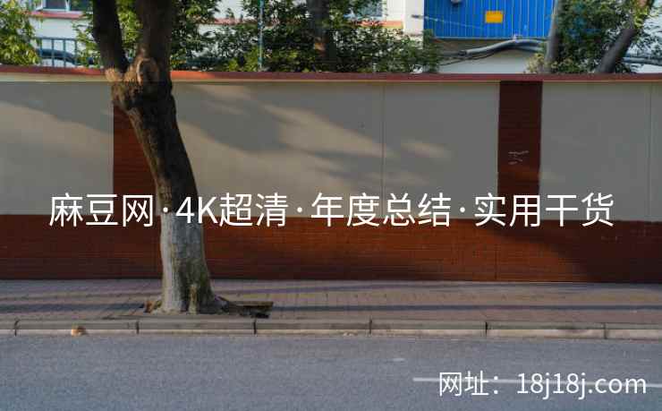 麻豆网·4K超清·年度总结·实用干货